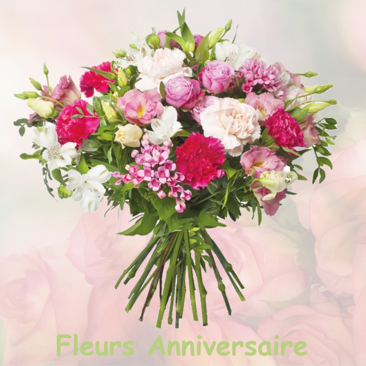 fleurs anniversaire VILLETRITOULS